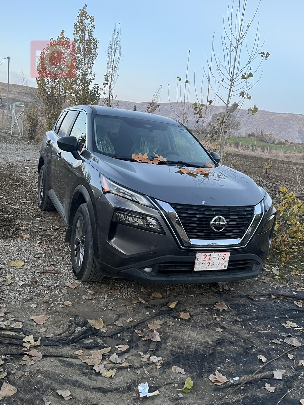 نيسان روج